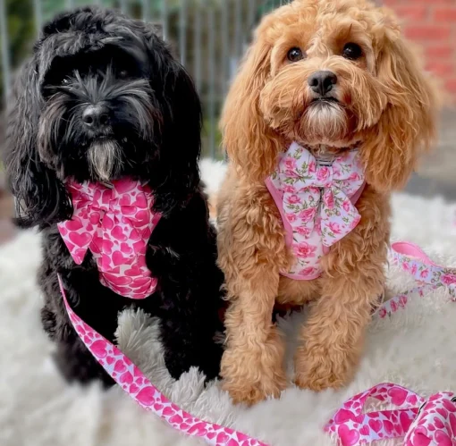 Peony Blooms - Adjustable Harness