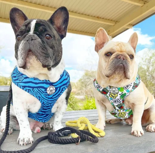 Safari Blues - Adjustable Harness