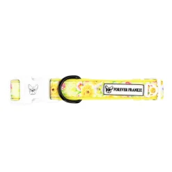 Summer Fling - Collar