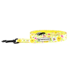 Summer Fling - Dog Lead