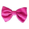 Sunset - Bow Tie