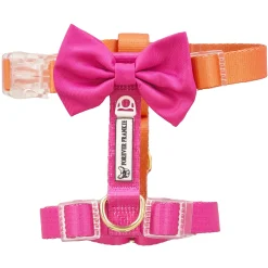 Sunset - Bow Tie