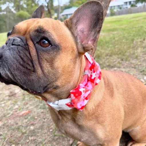 Sunset Bloom - Bow Tie