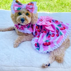 Sweet Cherry - Ruffle Dog Dress with bow (Limited Edition)
