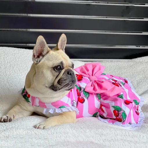 Sweet Cherry - Ruffle Dog Dress with bow (Limited Edition)