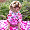 Sweet Cherry - Party Shirt