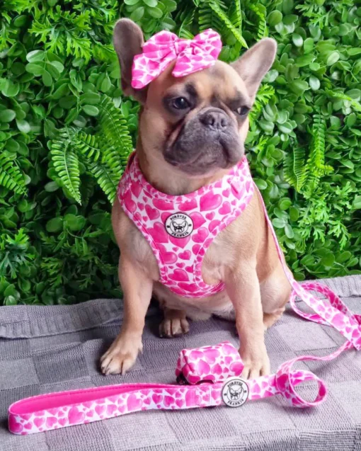 Sweethearts - Adjustable Harness