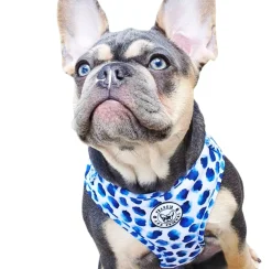 Wild About Blue - Adjustable Harness - End Of Line