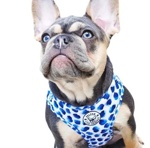 Wild About Blue - Adjustable Harness - End Of Line