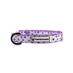 Wild About Purple - Collar - End Of Line